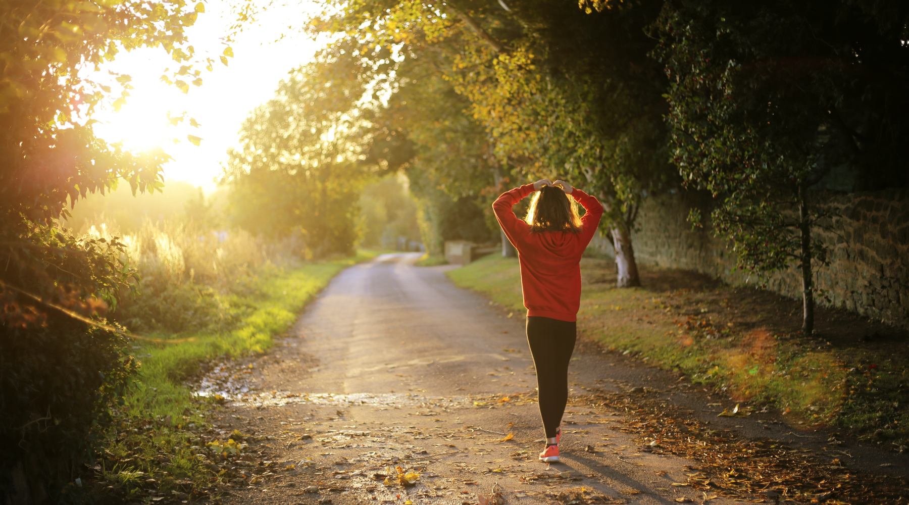 5 Canes to Consider if You Love Long Walks