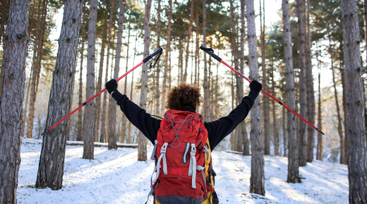 Hit the Trails: Choosing the Perfect Walking Sticks for Hiking