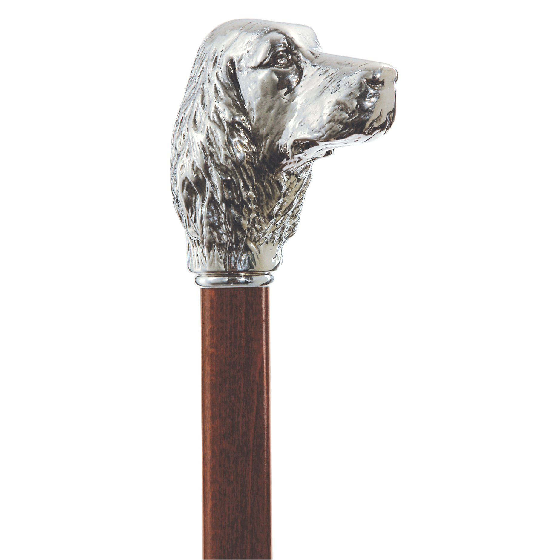 Irish Setter Walking Cane