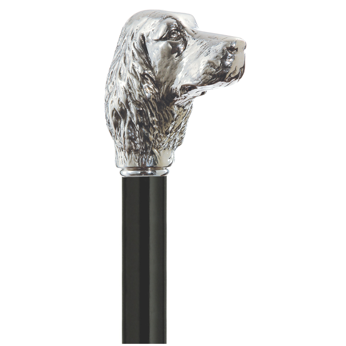 Irish Setter Walking Cane
