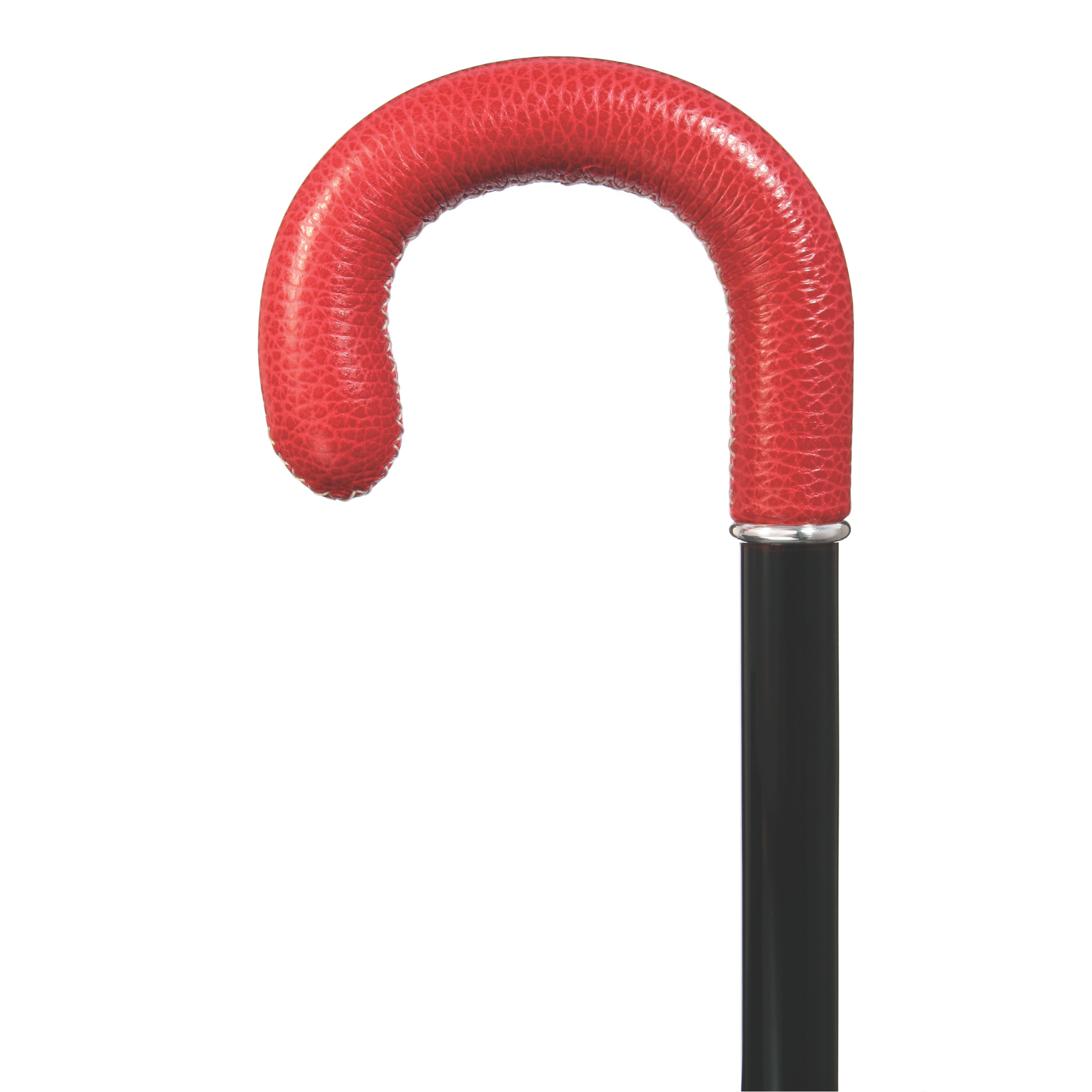 Abbey Road Walking Cane