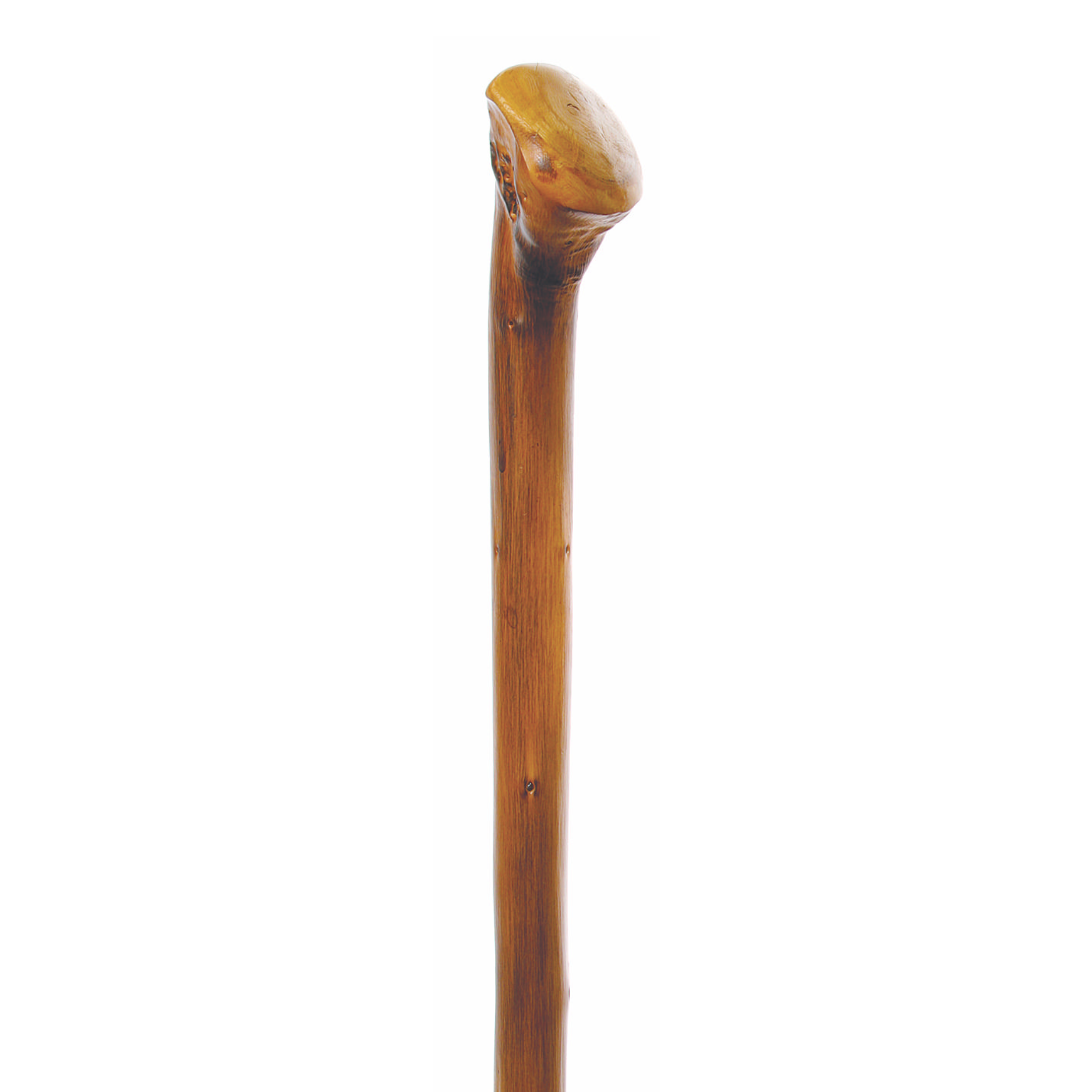 Appalachian Chestnut Walking Stick