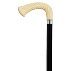 Einstein Walking Cane