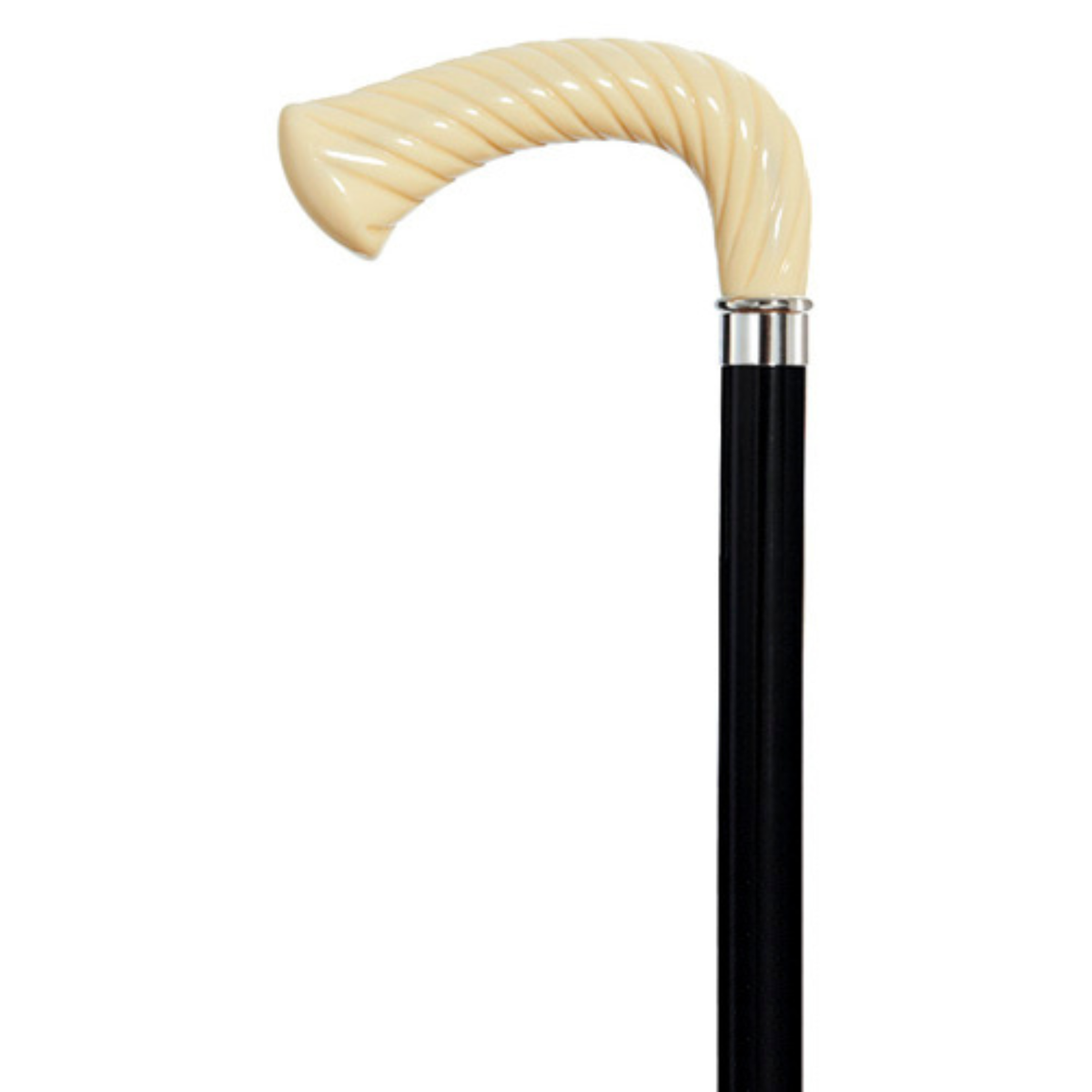 Einstein Walking Cane