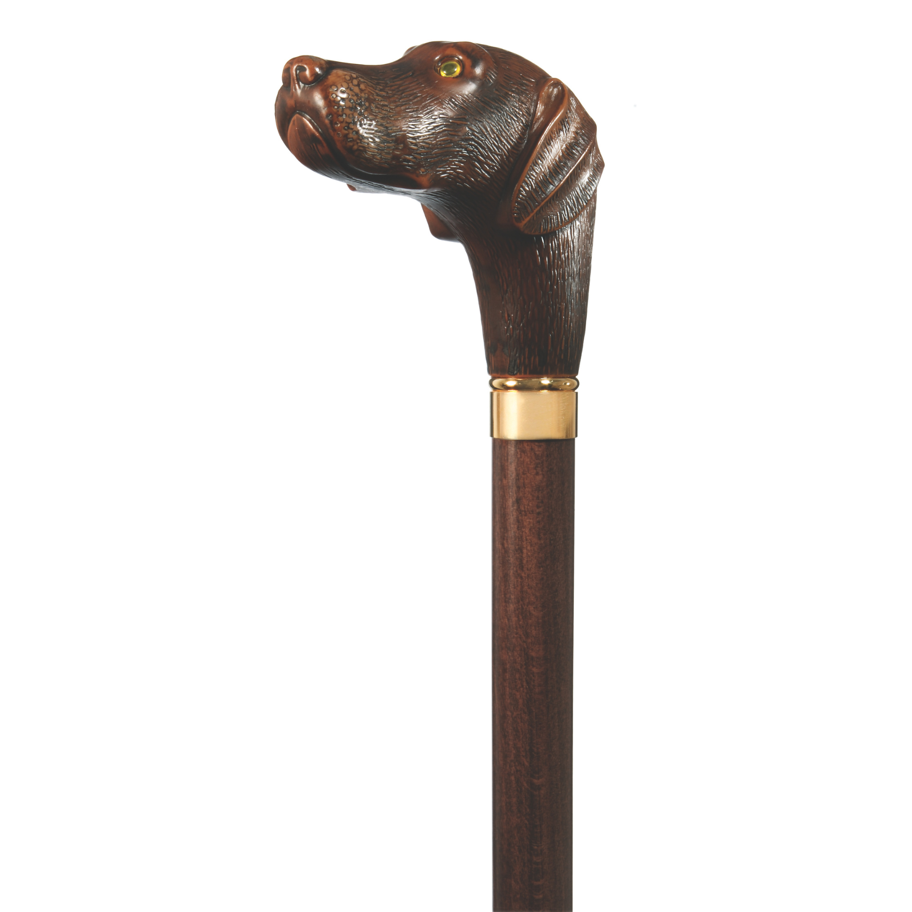 Brownie the Chocolate Lab Walking Stick
