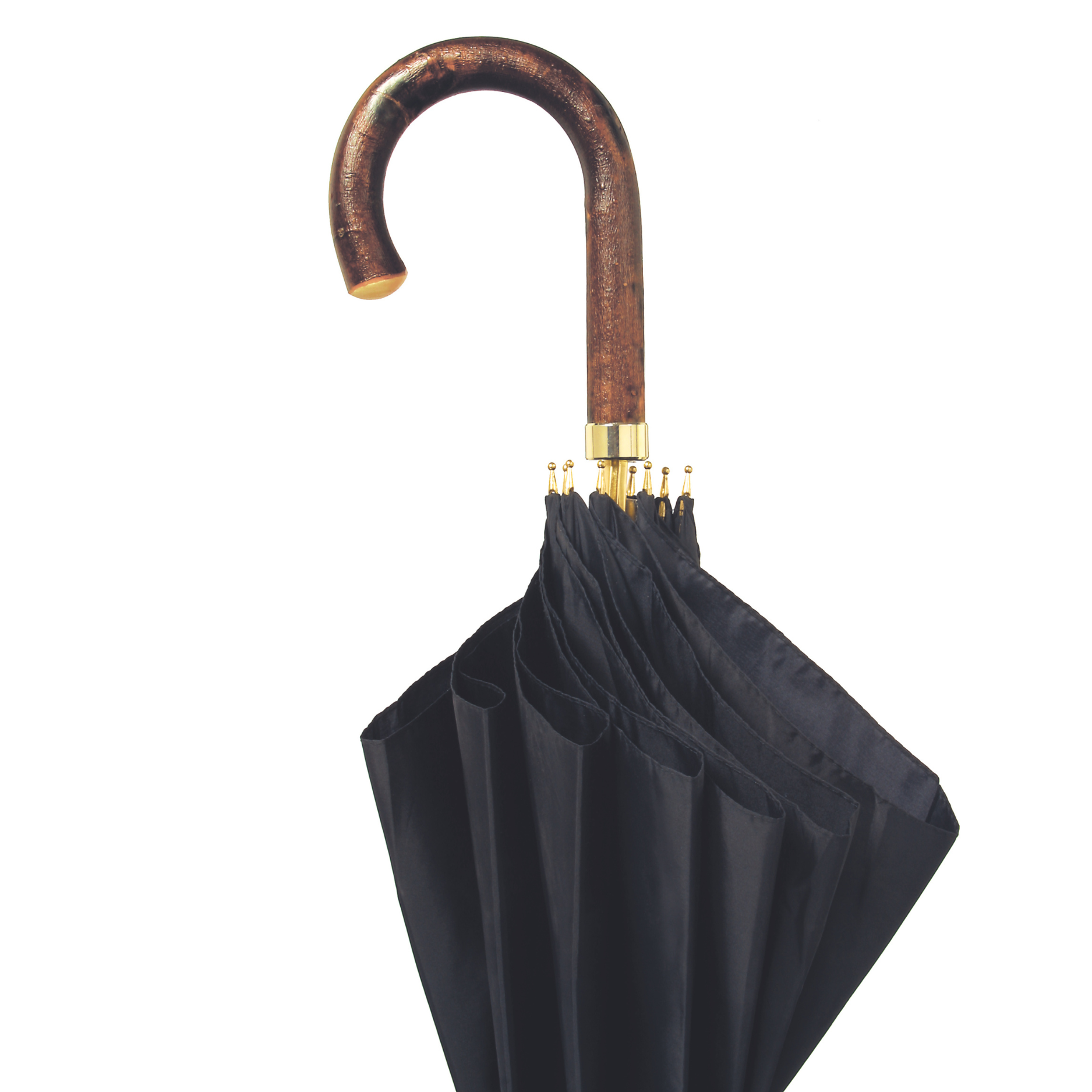 Sierra Umbrella