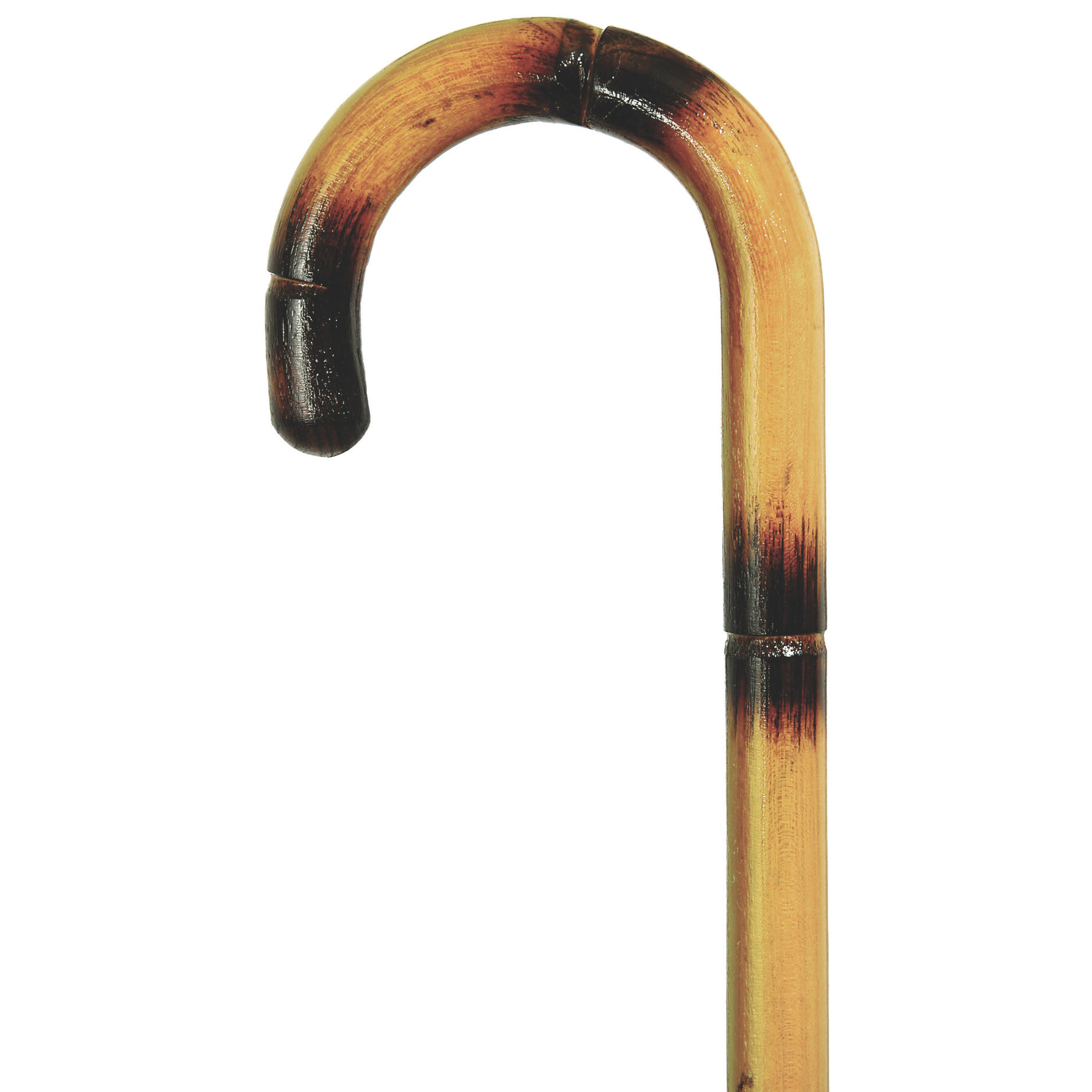 Tourist Walking Cane