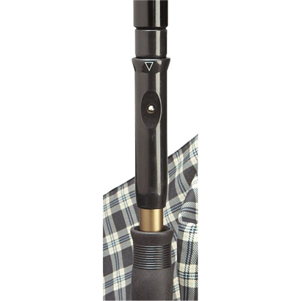 Cane Umbrella