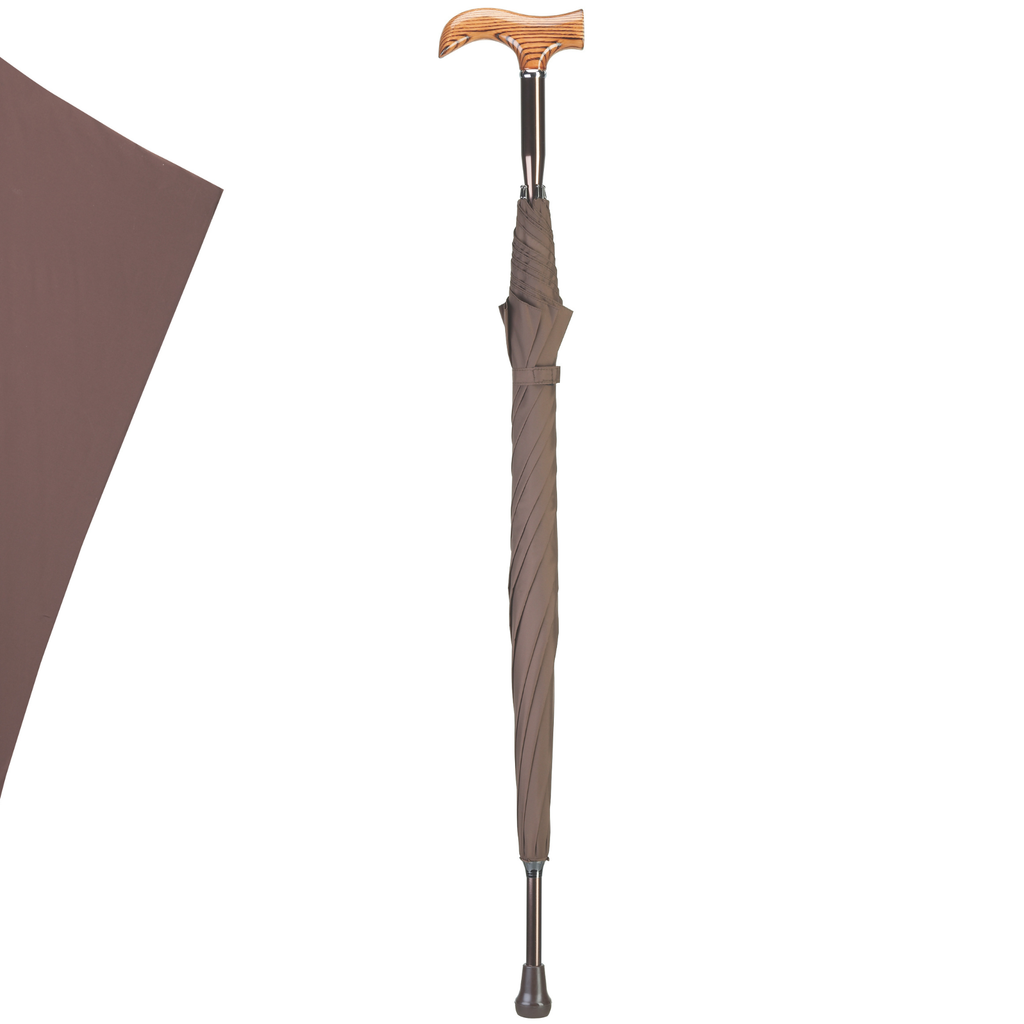 Umbrella Cane