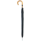 Nickle Band Scorched Crook Umbrella