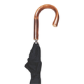 Chestnut Crook Umbrella