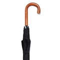 Malacca Crook Umbrella