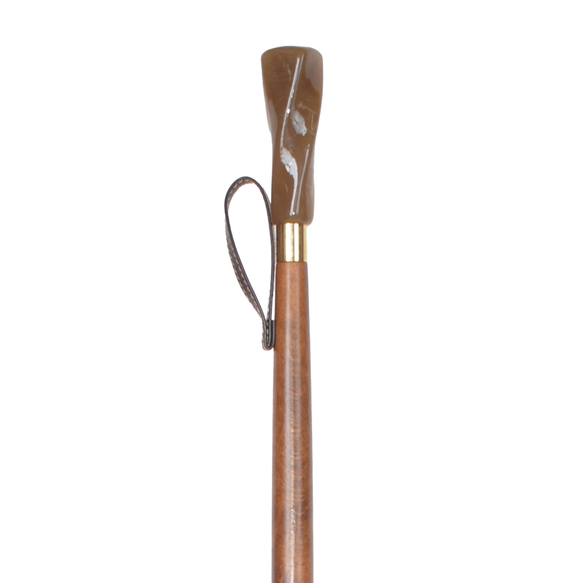 Elegant Shoehorn