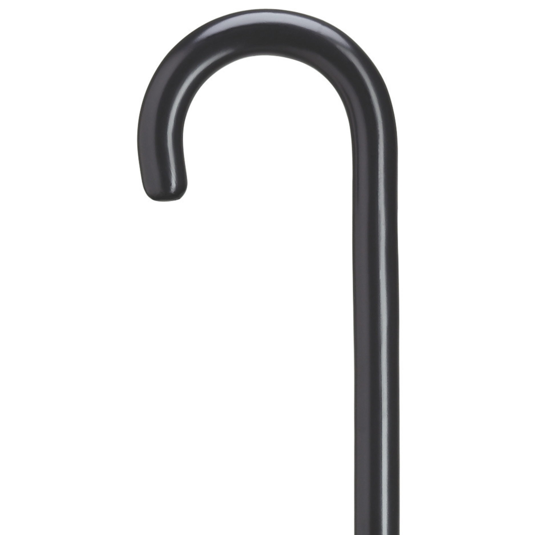 Black Tourist Walking Cane