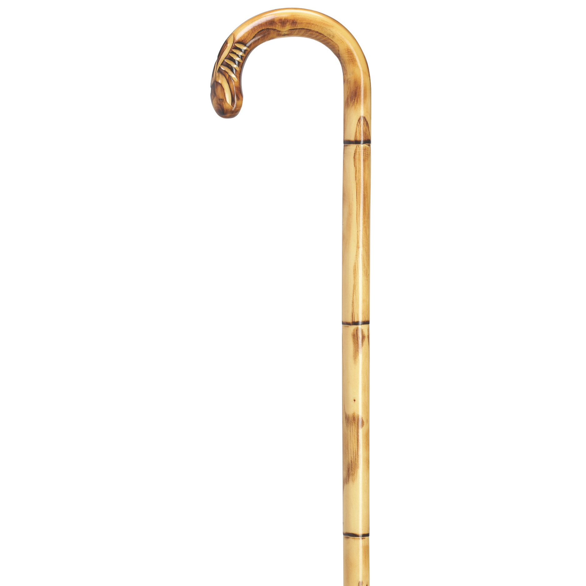 Harvy Stepped and Scorched Cane