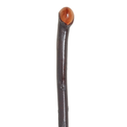 Blackthorn Cane