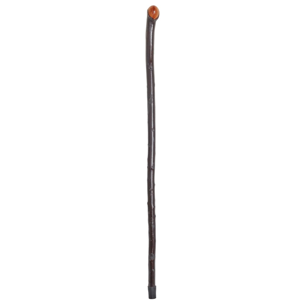 Blackthorn Cane