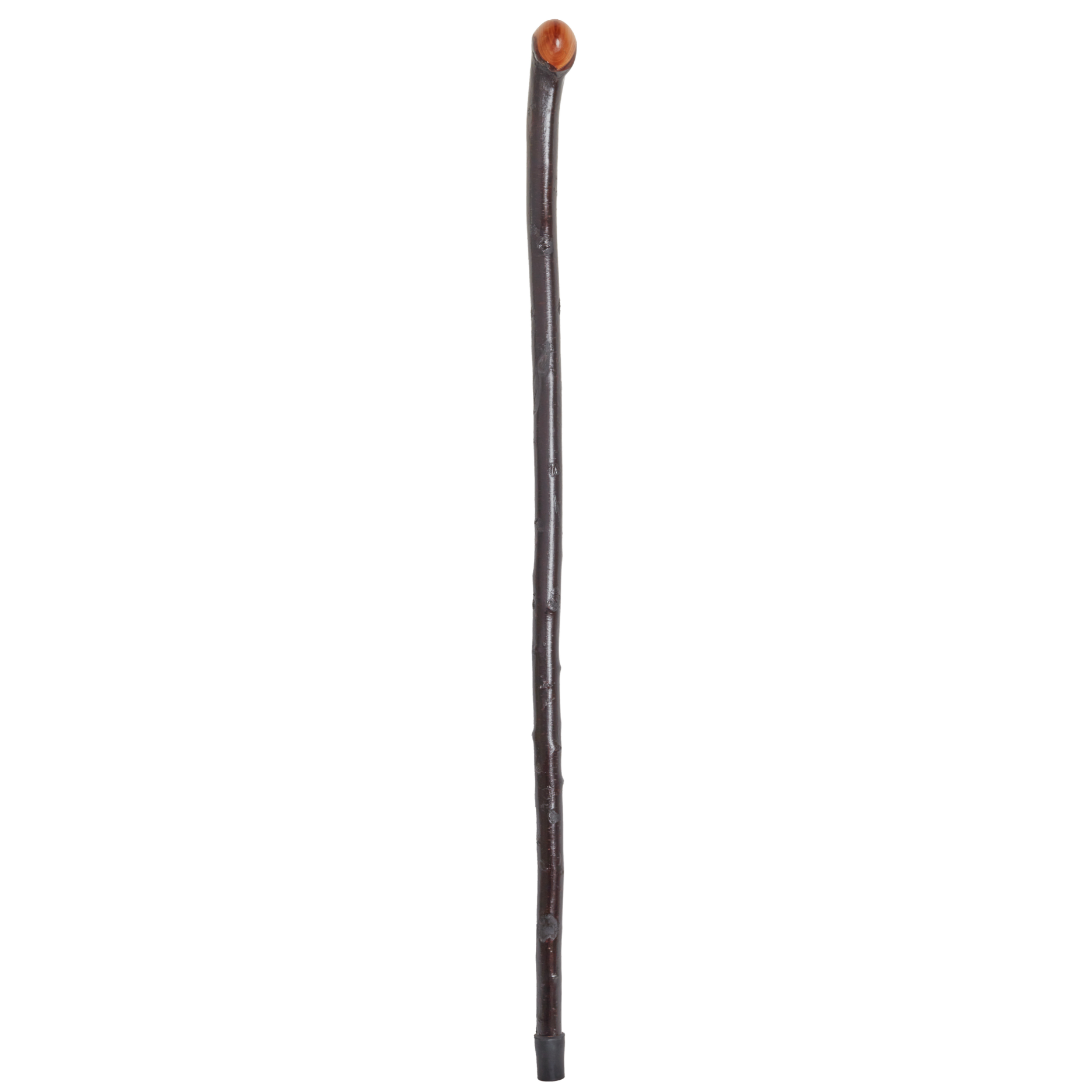 Blackthorn Cane