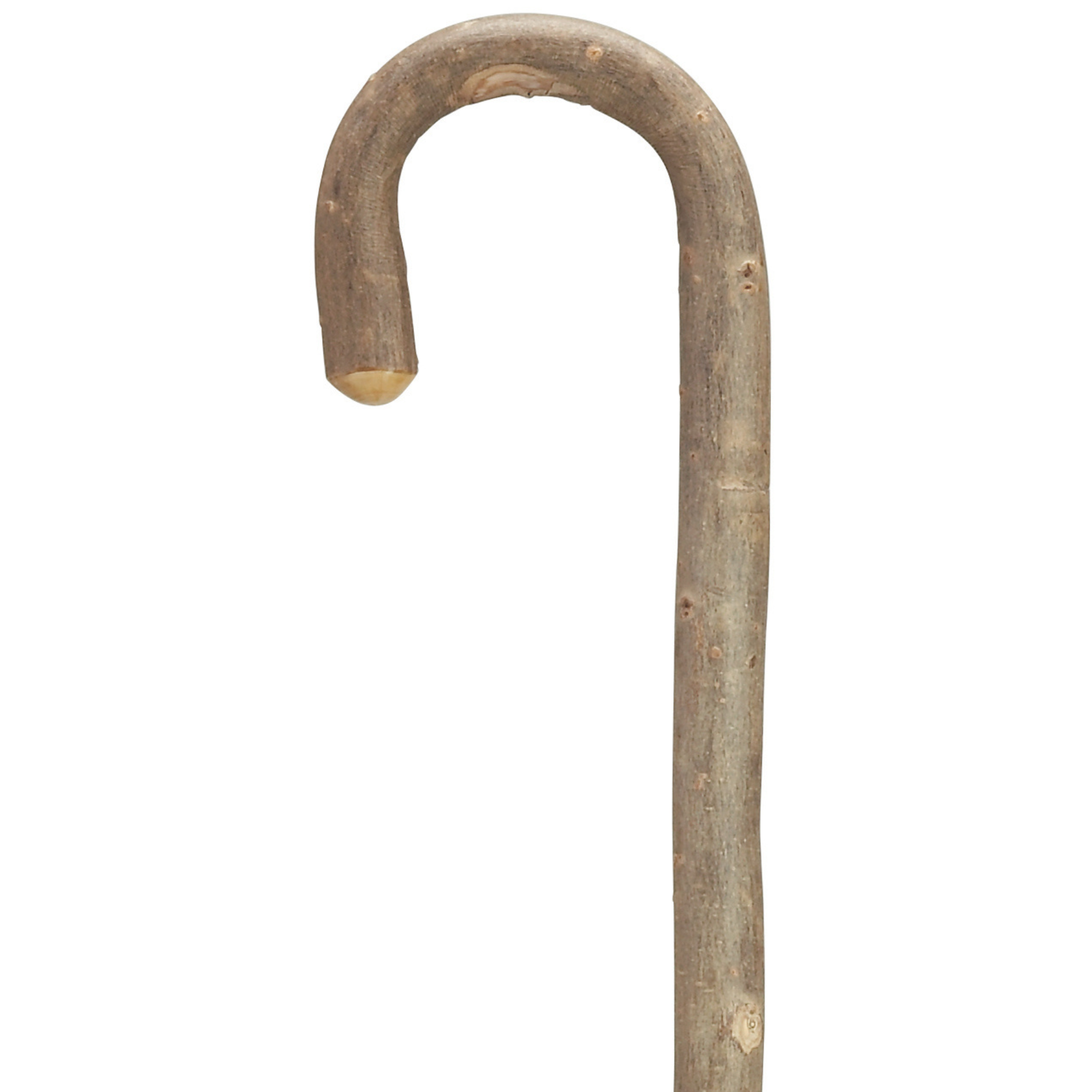 White Ash Crook Cane