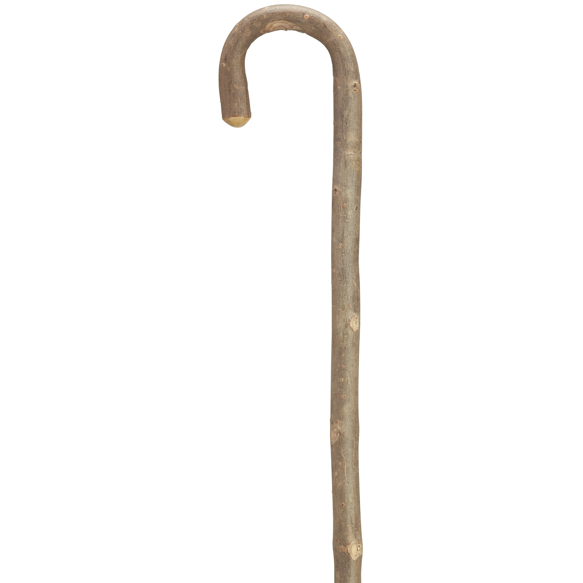 White Ash Crook Cane
