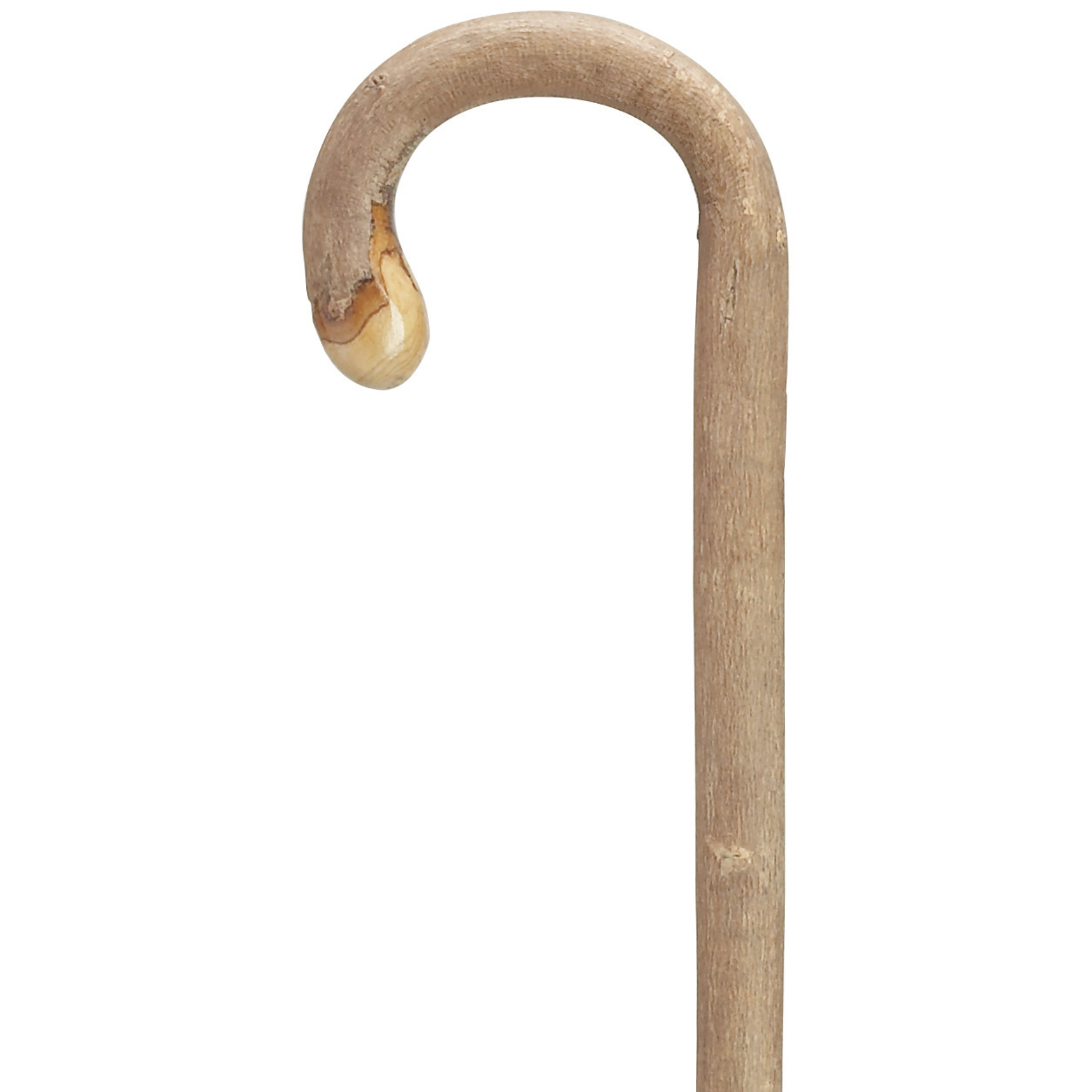White Ash-Bulb Nose Tourist Cane