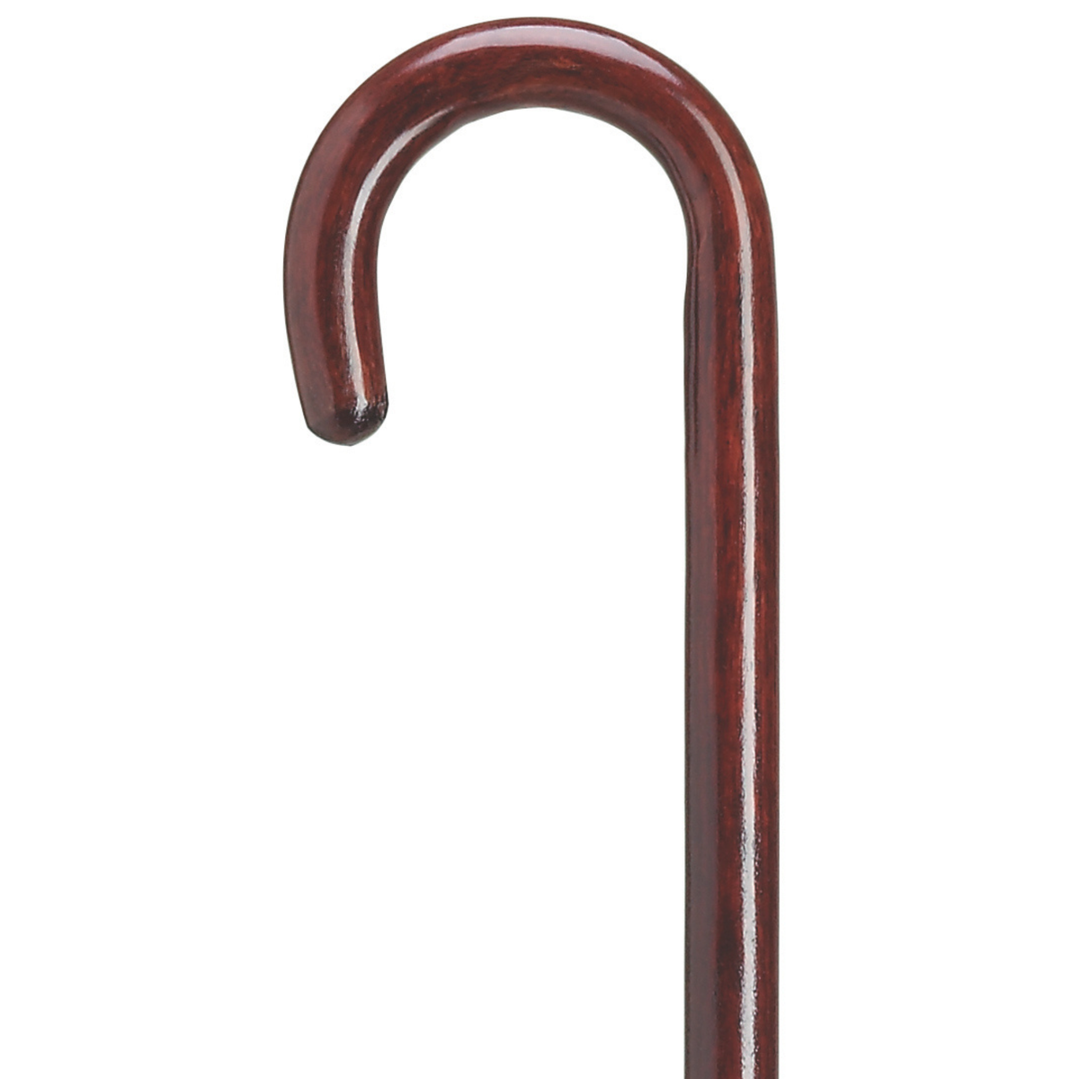 Maple Tourist Cane