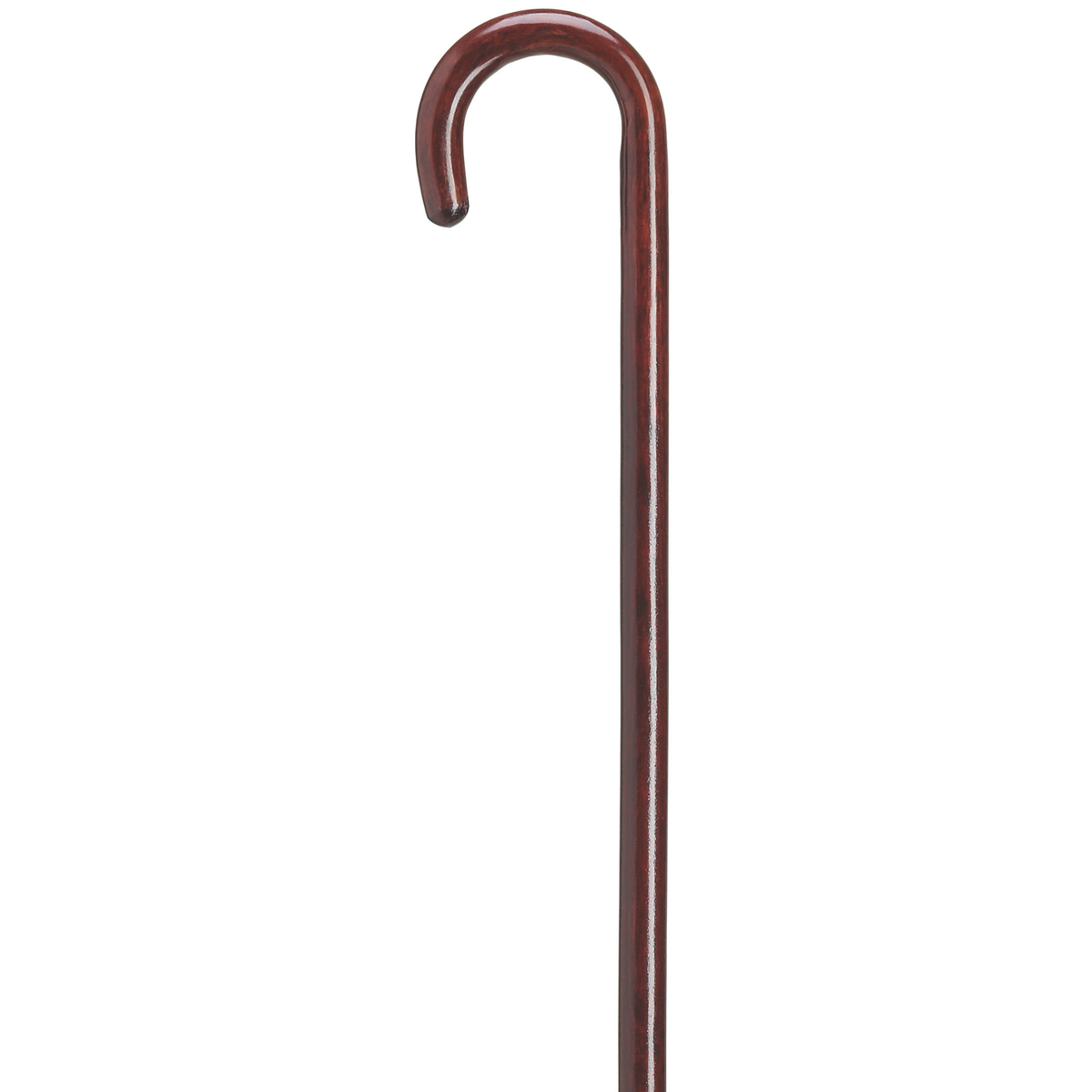 Maple Tourist Cane
