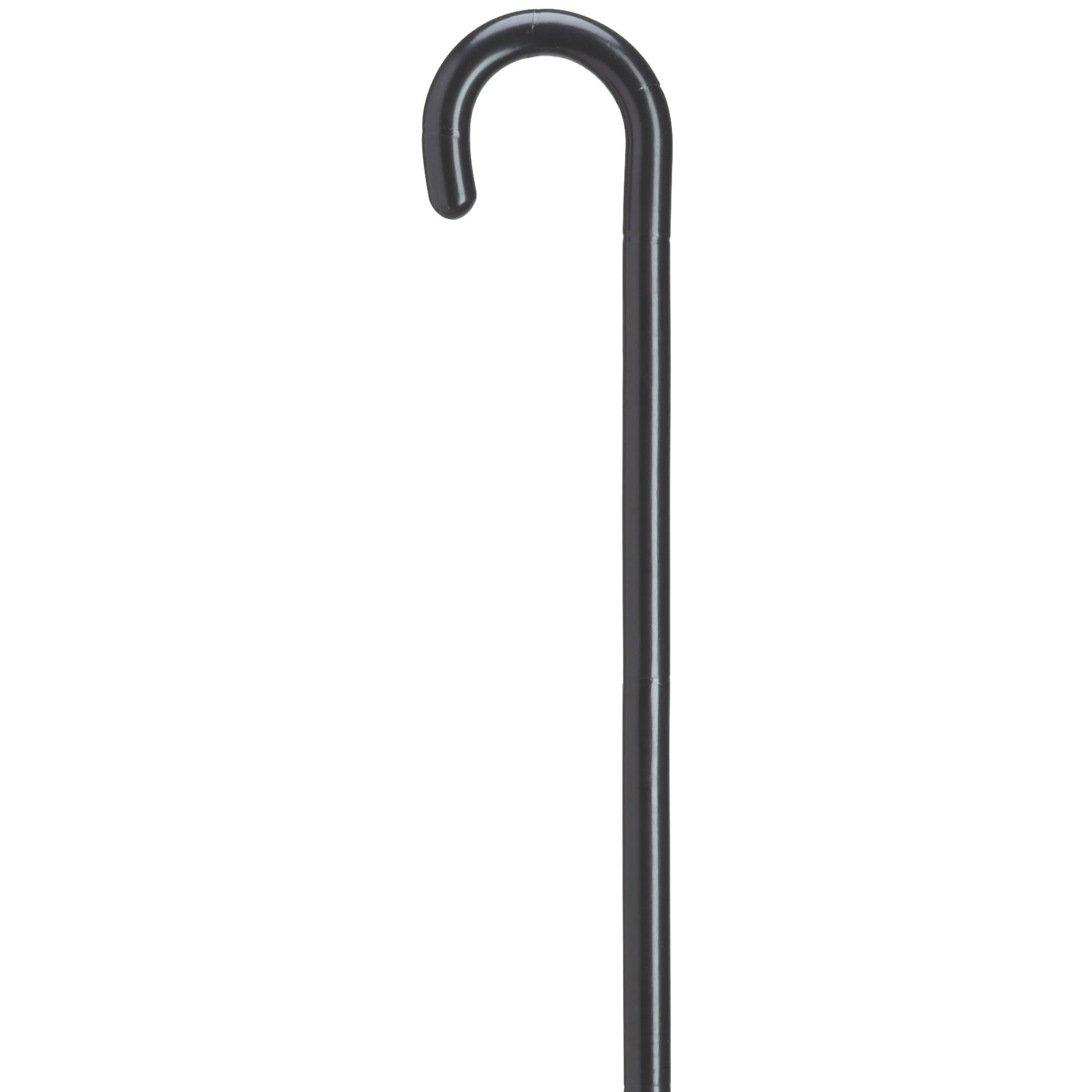 Ladies Distinguished Tourist Cane
