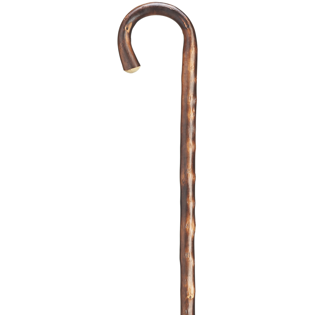 Extra Long Tourist Chestnut Cane