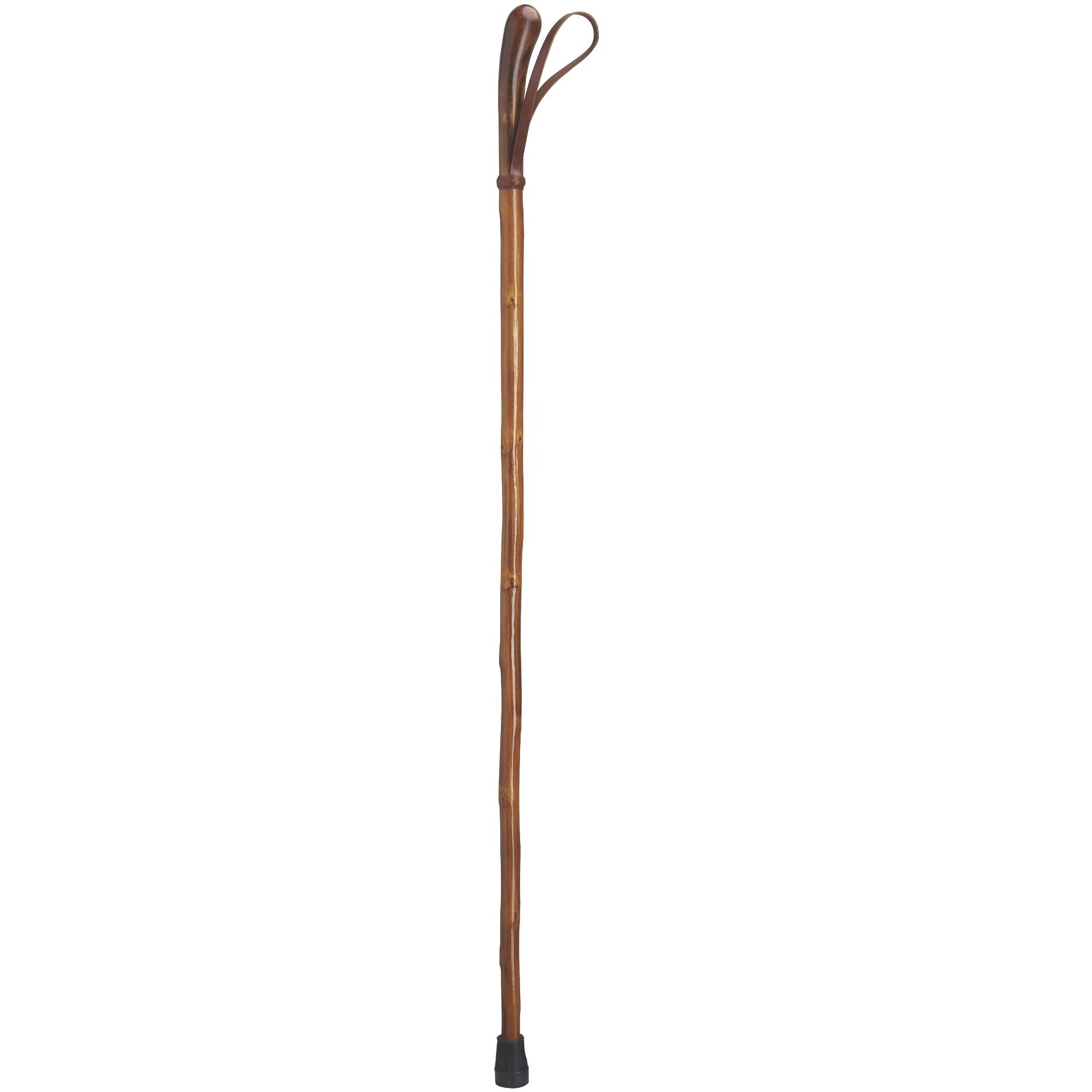 Knotted English Chestnut Walking Stick with Leather Loop