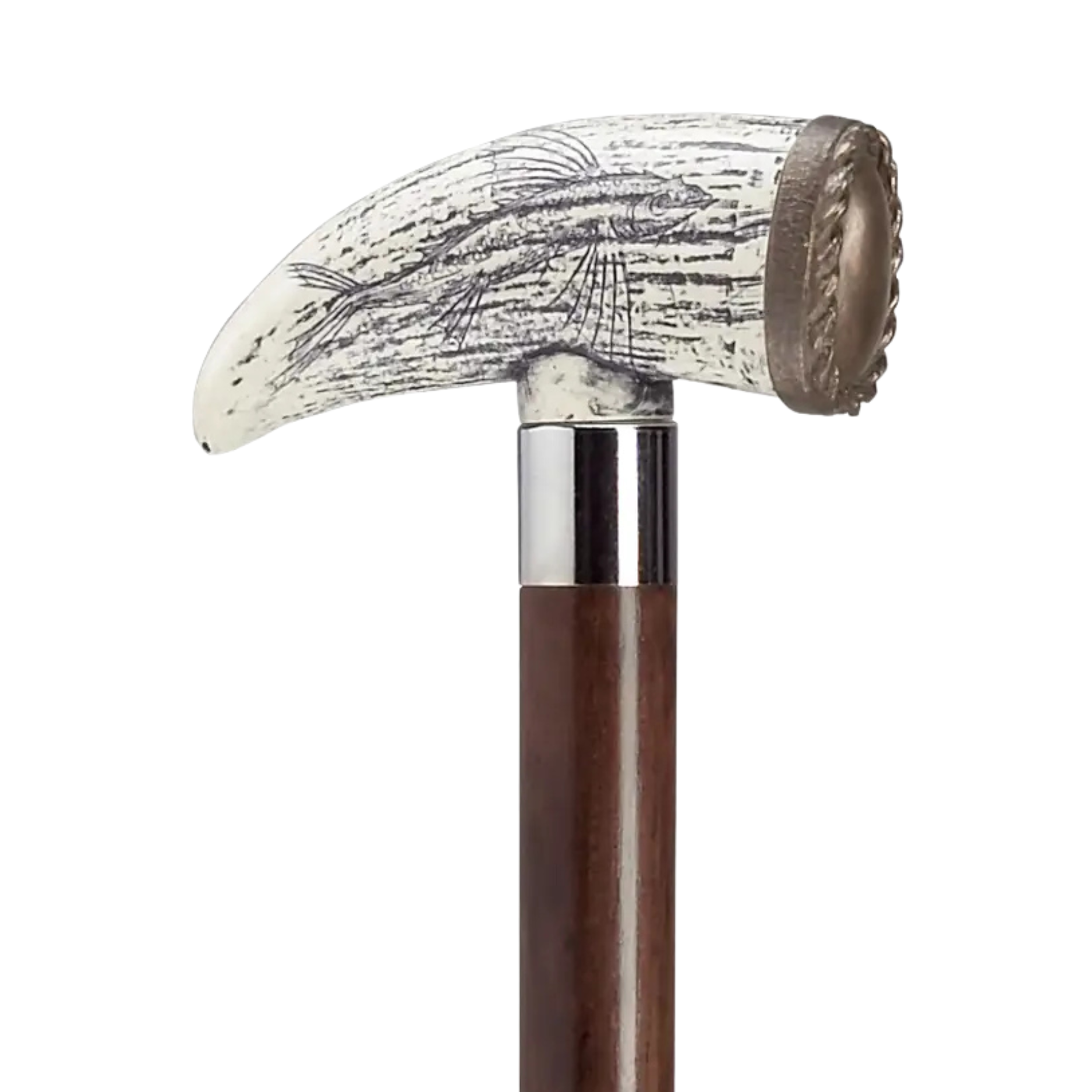 Scrimshaw Whale Tooth Walking Cane