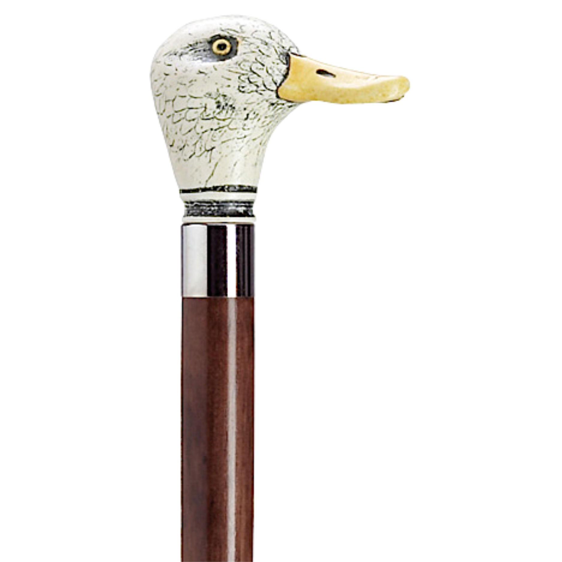 Scrimshaw Duck Walking Stick