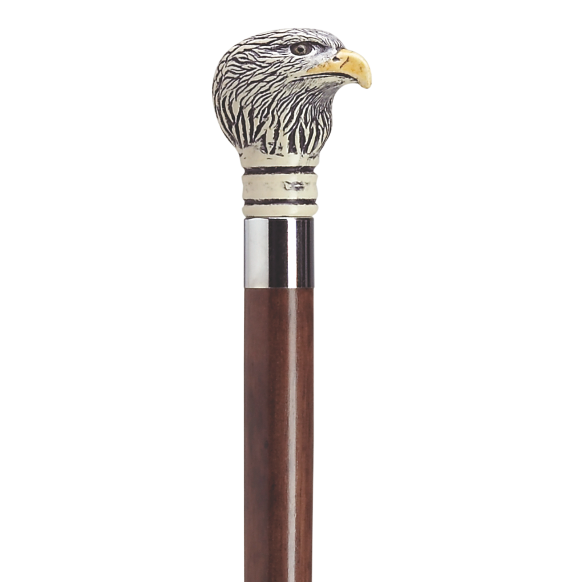 Antique Eagle Head Walking Stick with Silver Band, 36-Inch Shaft