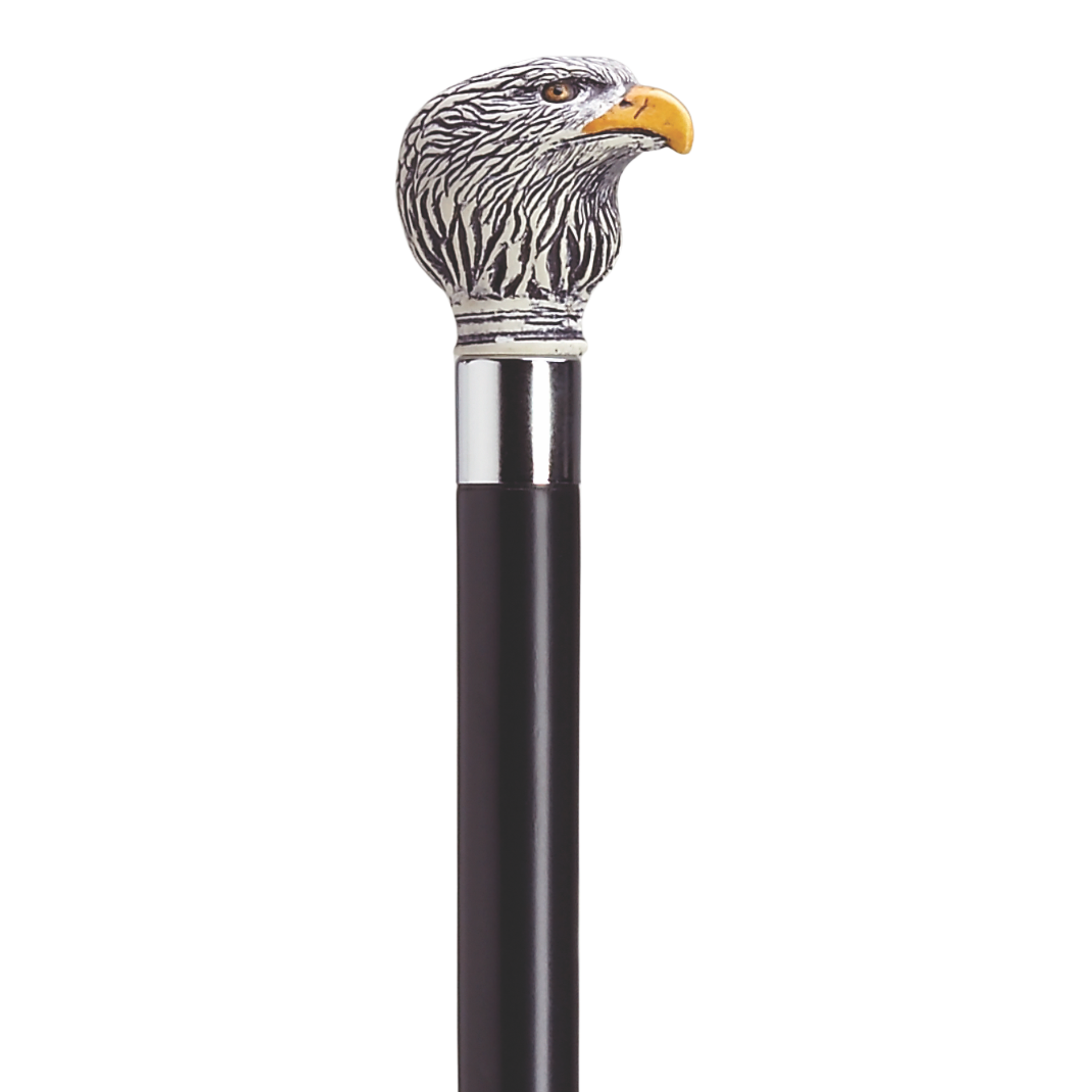 Antique Eagle Head Walking Stick with Silver Band, 36-Inch Shaft