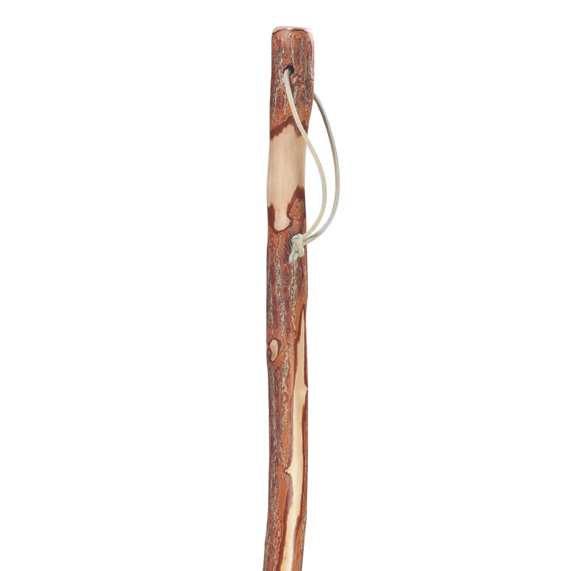 Twisted Sassafras Hiking Staff