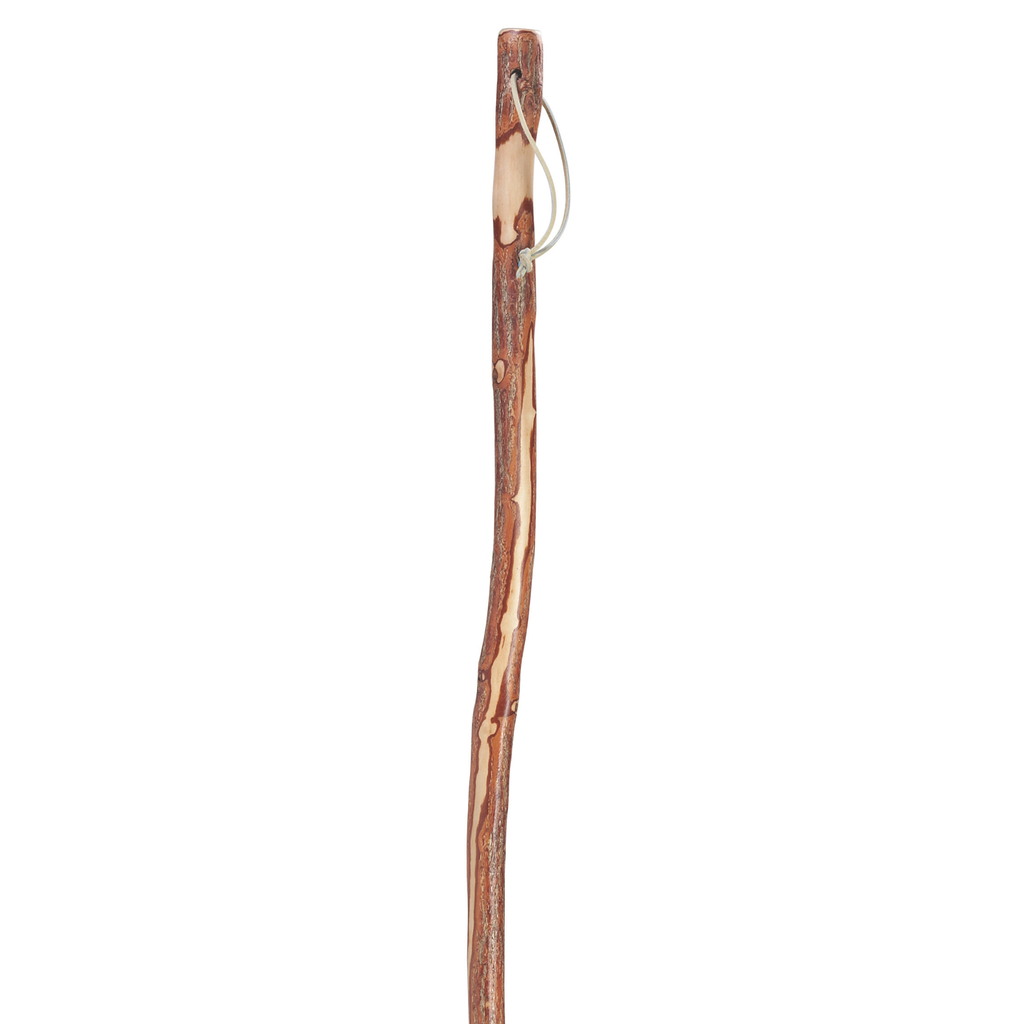 Twisted Sassafras Hiking Staff