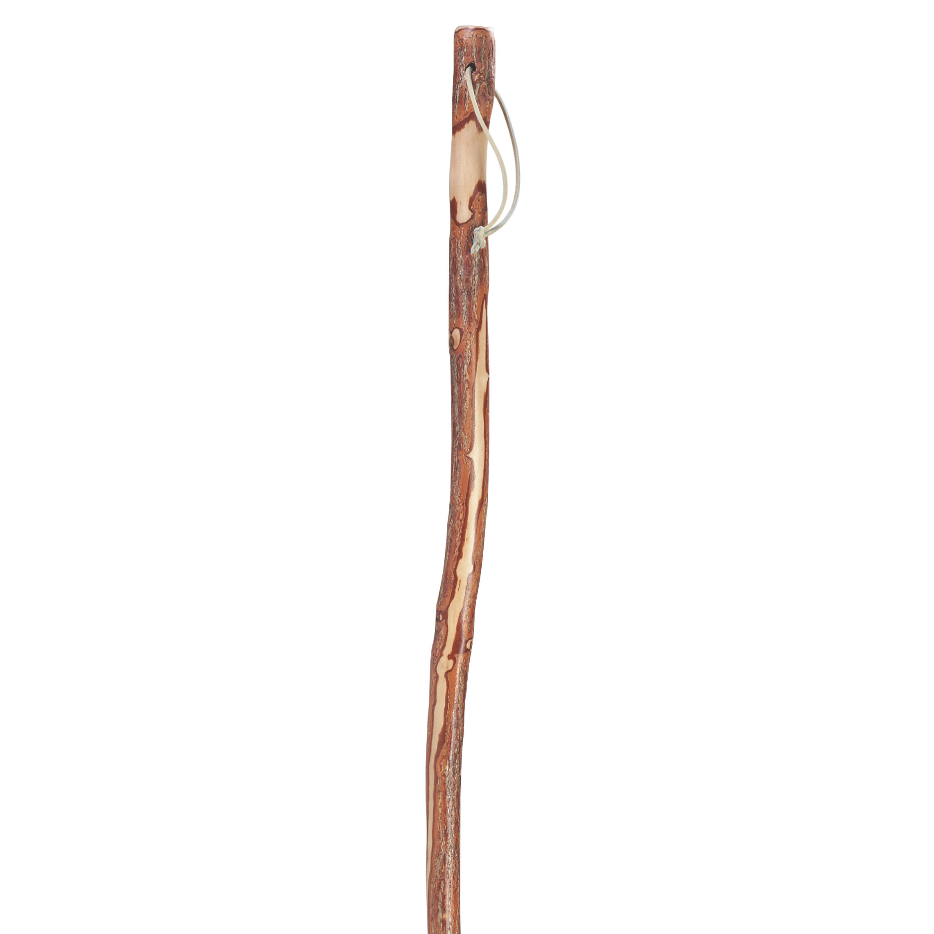 Twisted Sassafras Hiking Staff