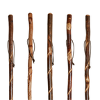 Twisted Vine Hiking Stick