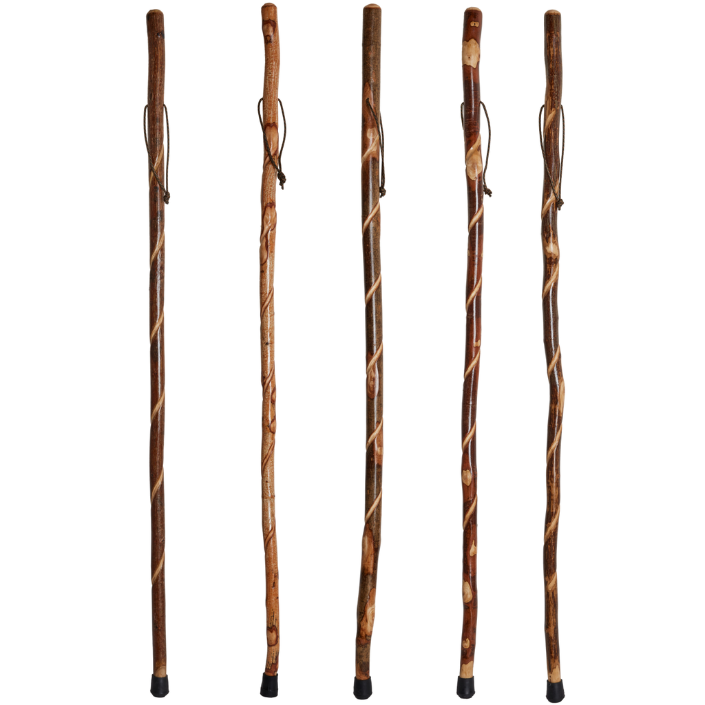 Twisted Vine Hiking Stick