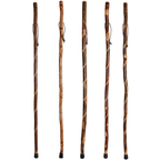 Twisted Vine Hiking Stick