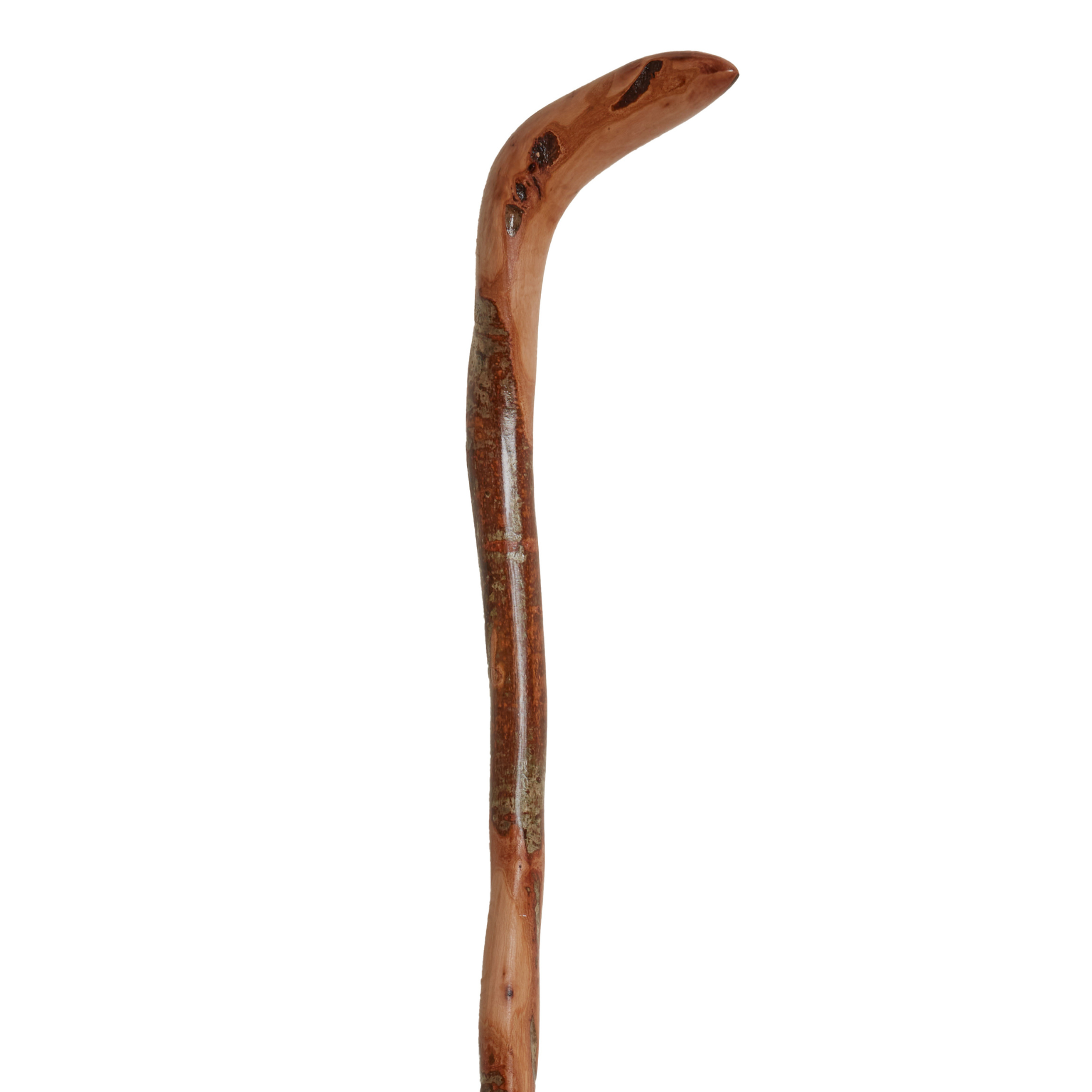 Natural Wild Wood Root Cane - Handcrafted, Unique, 36 Walking Stick