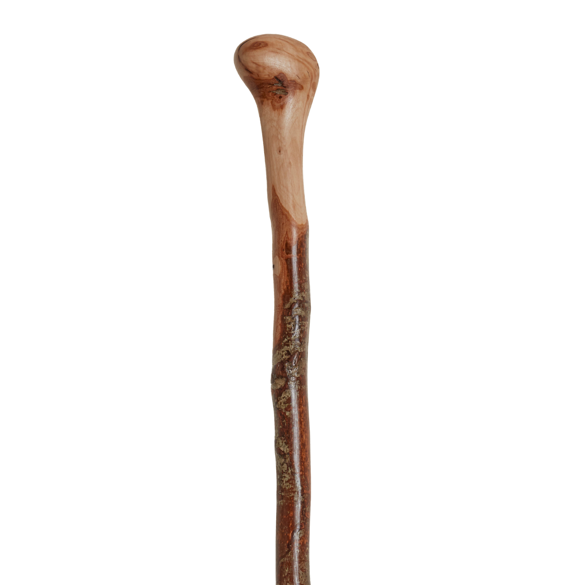 Root Knob Cane