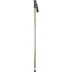 Backcountry Folding Hiking Pole - Green