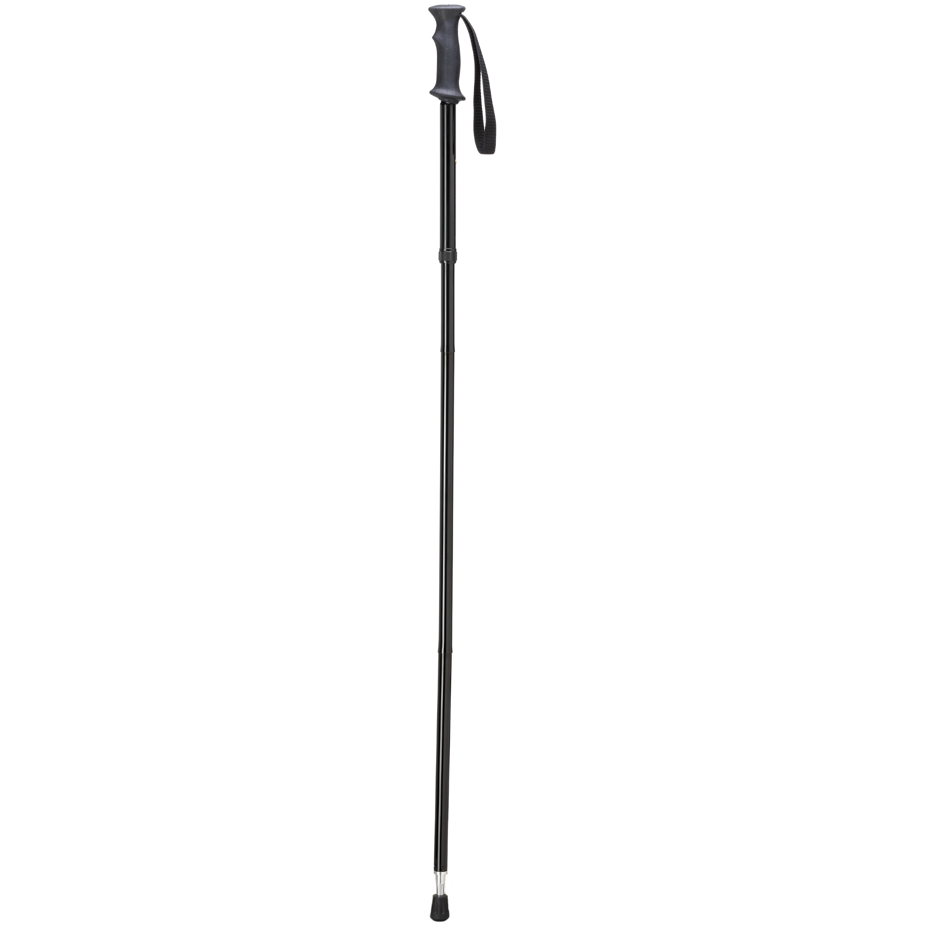Backcountry Folding Hiking Pole - Black