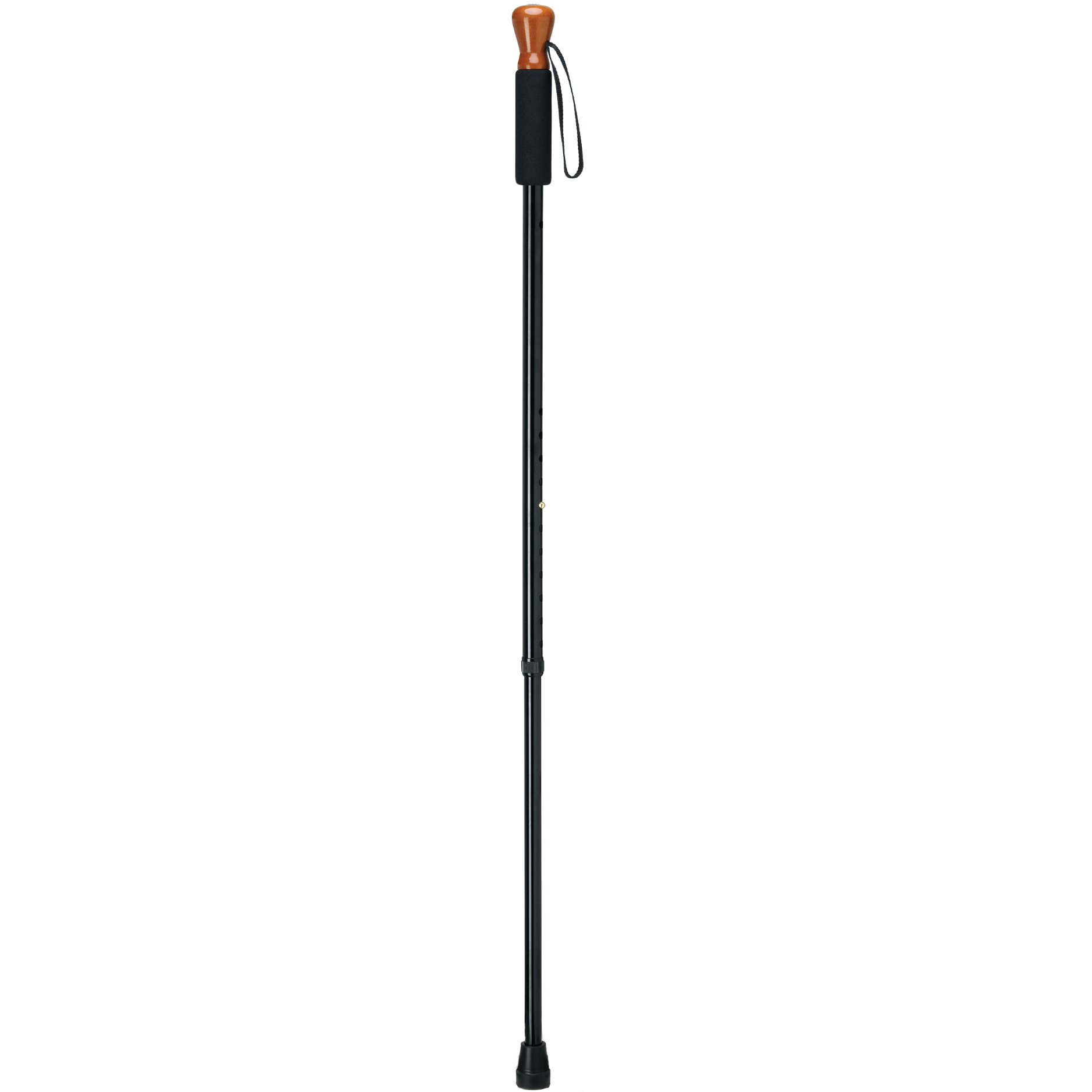 Backcountry Hiking Cane