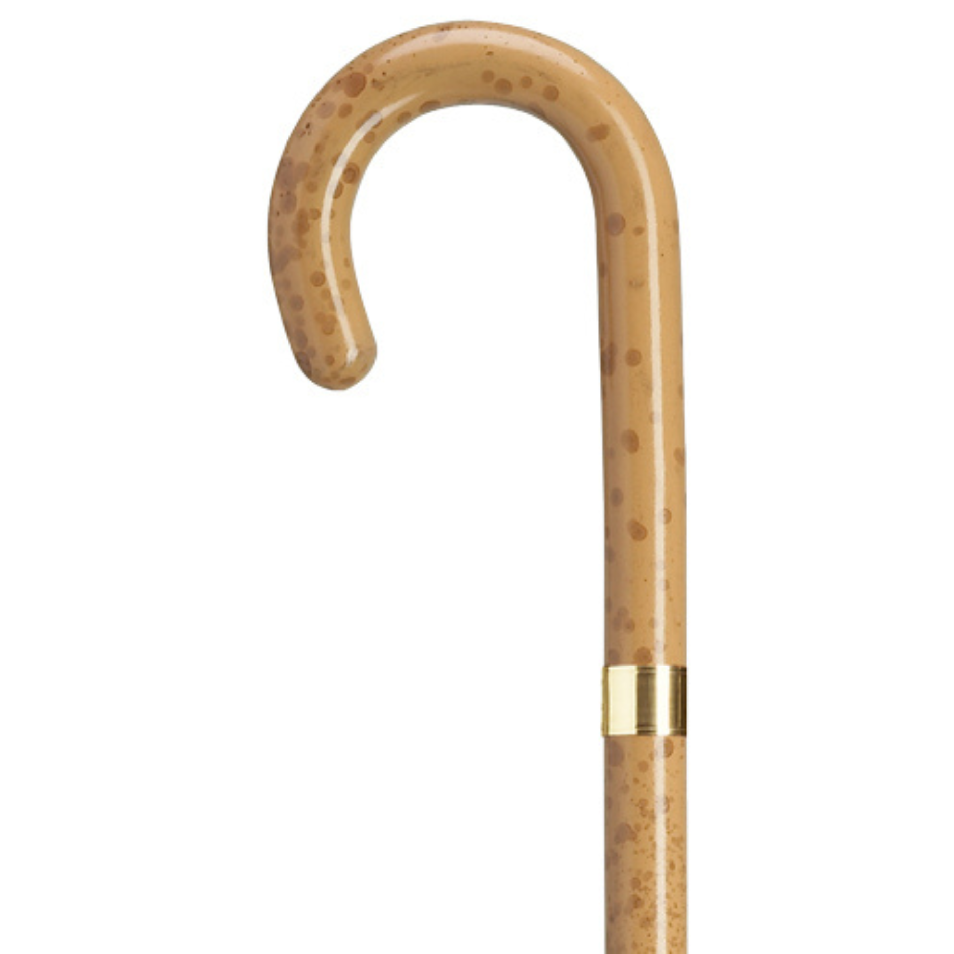 Ladies Tourist Cane with Gold Accent Band