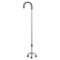 Tourist tripod cane
