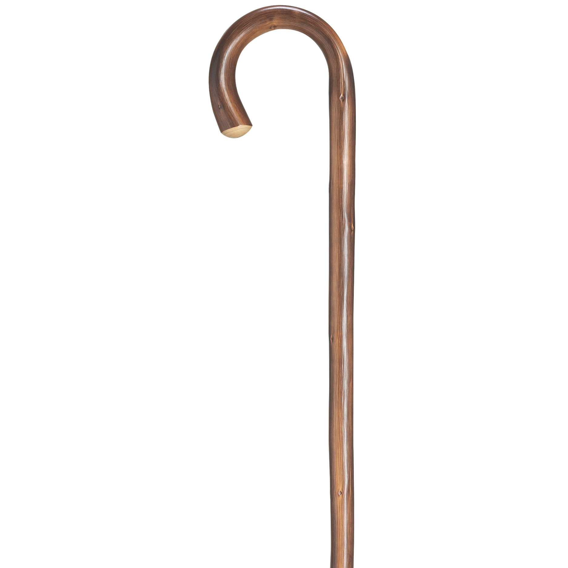 Ladies English Chestnut Tourist Cane