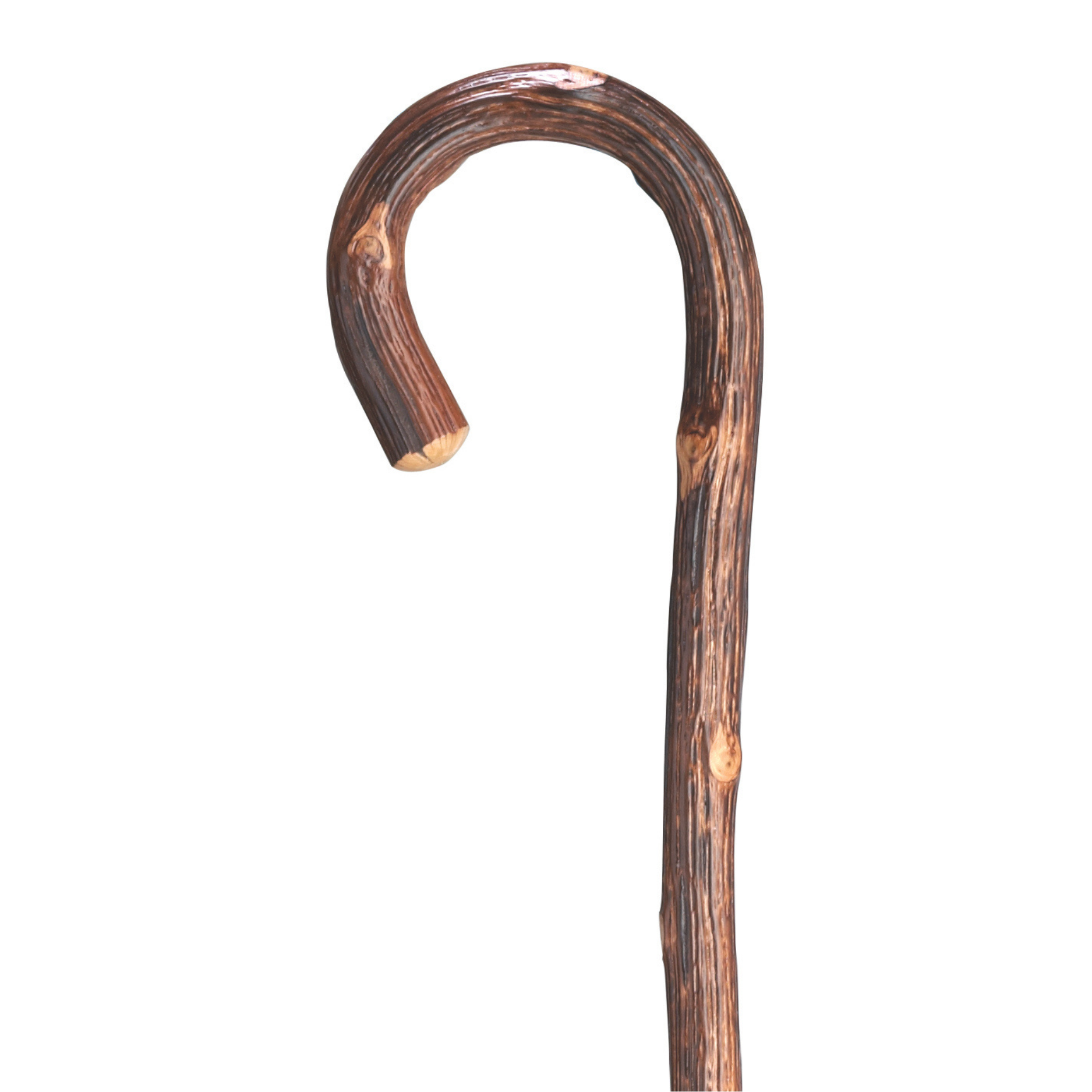 Oak Tourist Walking Cane