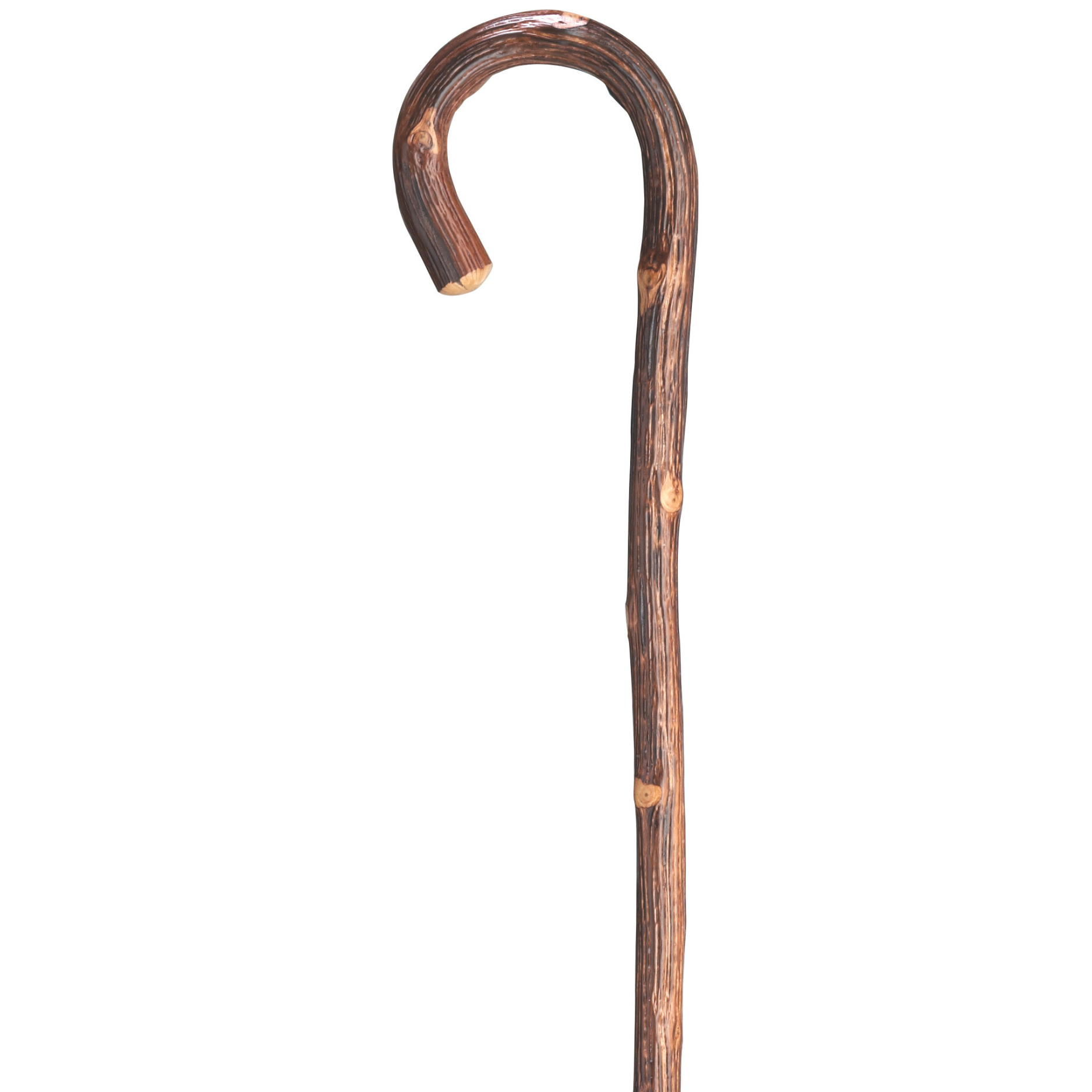 Oak Tourist Walking Cane